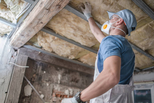 Best Attic Insulation Installation  in Lmyra, PA