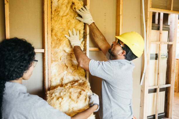Best Energy-efficient Insulation  in Lmyra, PA
