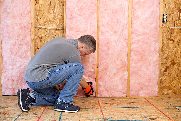 Best Fiberglass Insulation  in Lmyra, PA