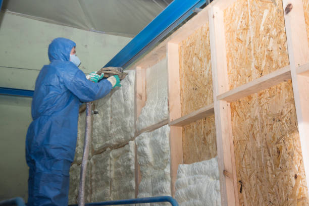 Best Insulation Replacement Services  in Lmyra, PA