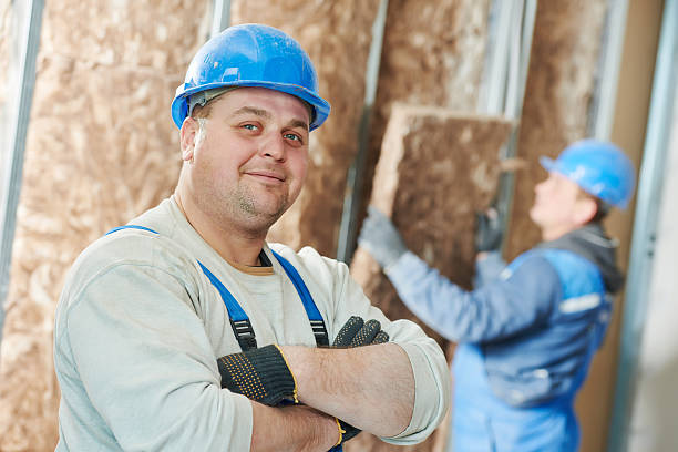 Best Local Insulation Services  in Lmyra, PA